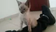 Nina