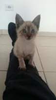 Nina