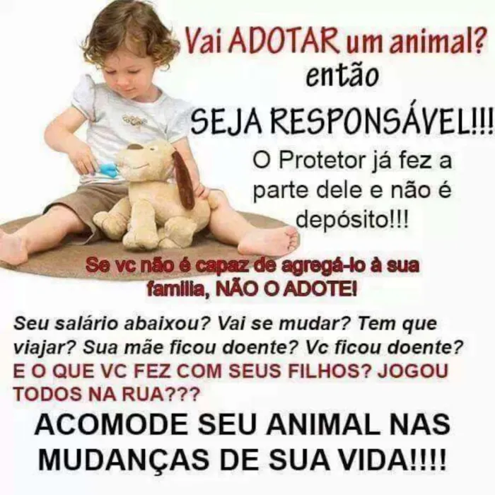 Gato ra a SRD idade 2 a 6 meses nome Nina