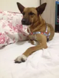 Linda