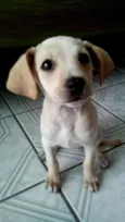 nao tem nome