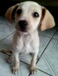 nao tem nome
