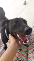 Zeca