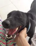 Zeca