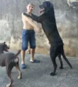Buddy e Toddy