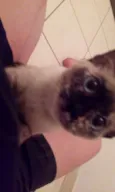 Kimi