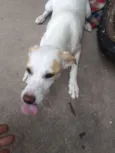 não tem