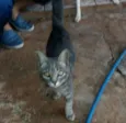 Frederico