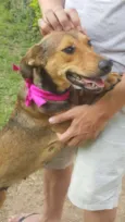 Frida