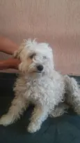ÁGATHA
