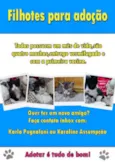 Gatinhos