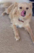 FRIDA E FIBI