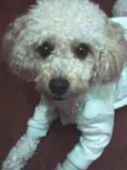 billy