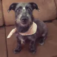 Lupita