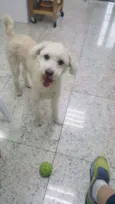 Ted