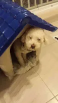 Ted
