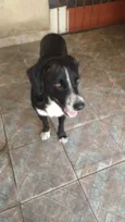 TOBBY