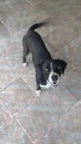 TOBBY