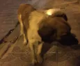 Não tem