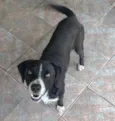 TOBBY