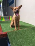 Bambina