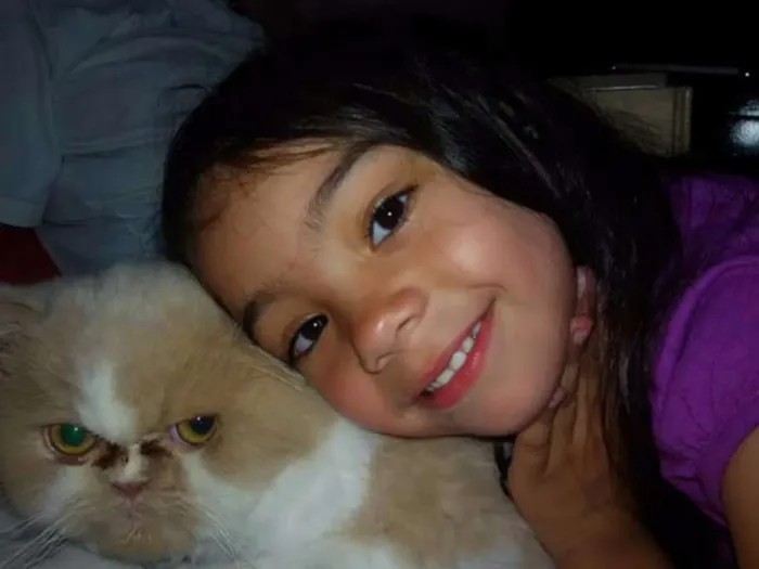 Gato ra a Persa idade 4 anos nome Tom