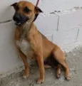 VICKY
