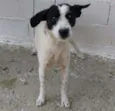 LILI