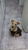 Mel