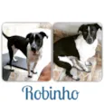 Robinho