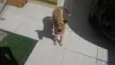 Frida