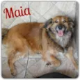 Maia