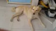 TECO
