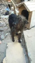 BILLY