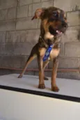 NICO, Bebezão!