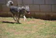 ESTOPINHA, princesa!