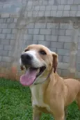 ENZO, Fofura Totalll