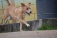 ENZO, Fofura Totalll