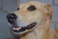 MARLEY, O mais lindã