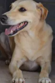 MARLEY, O mais lindã