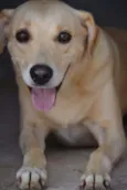 MARLEY, O mais lindã
