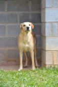MARLEY, O mais lindã