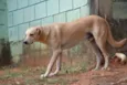 MARLEY, O mais lindã