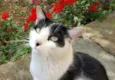 Billy