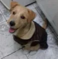 Mel