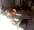 Não tem