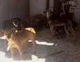 Não tem