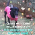 Vick