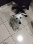 Coragem, 11 meses