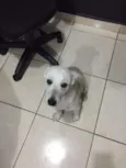 Coragem, 11 meses